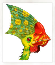 A Tupuxuara